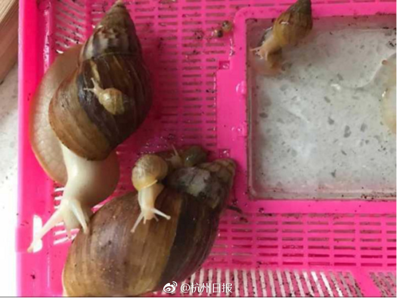 性视频