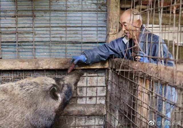被夫上司连续被7天侵犯BD