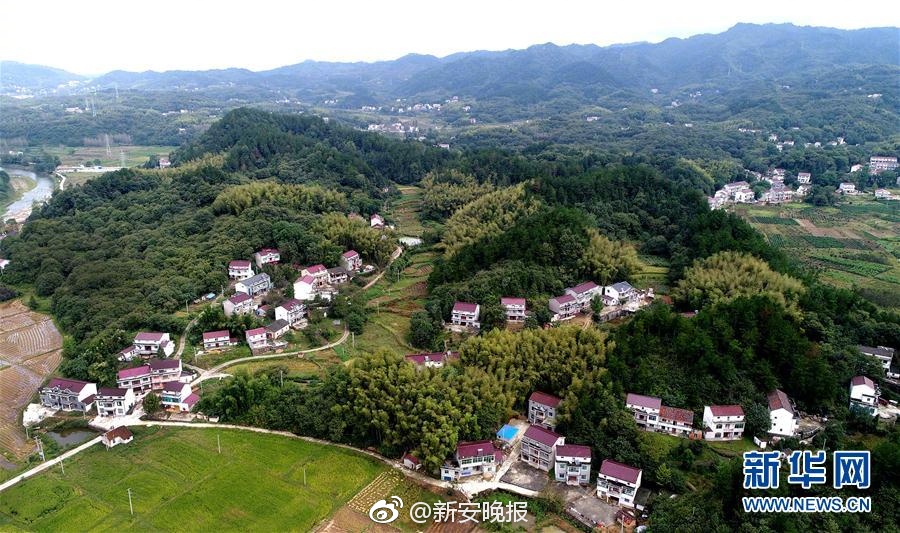 可以在线观看的黄色视频