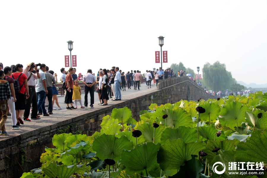 再深点灬舒服灬大了添juwu