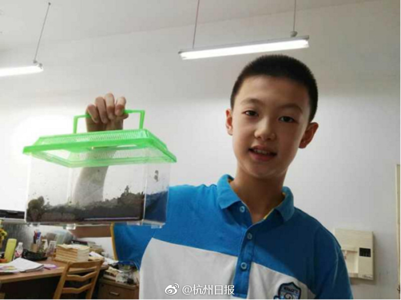 国产黄色三级片网站