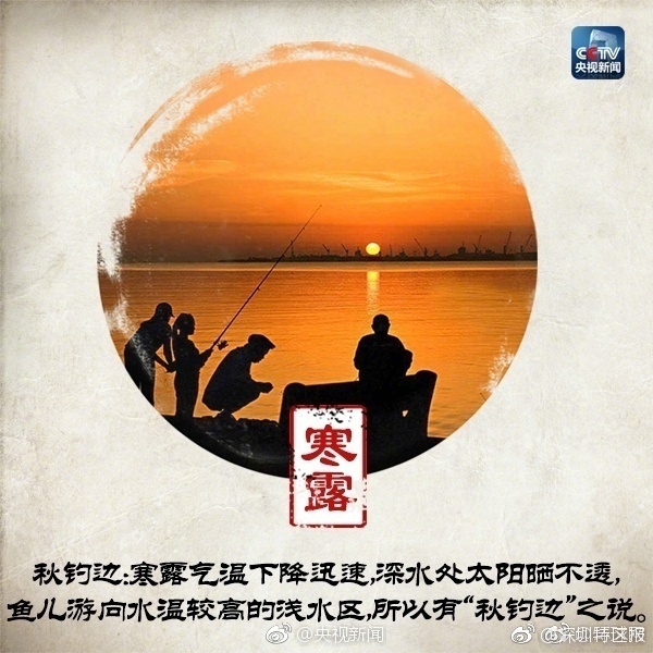 黄色视频大全在线