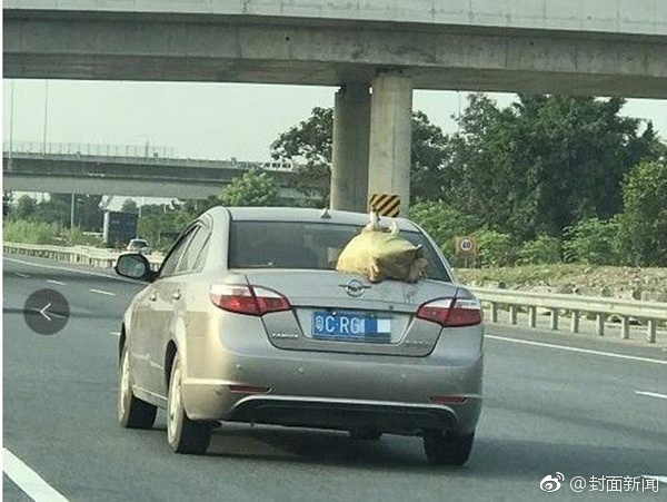 色色色女黄色网站