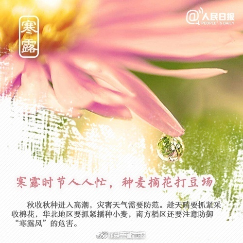老妇女水多毛多Bbbbb