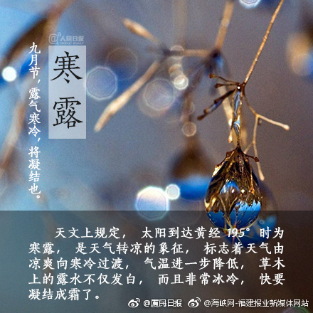 老熟女操逼
