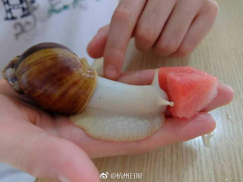 一区二区三区欧美