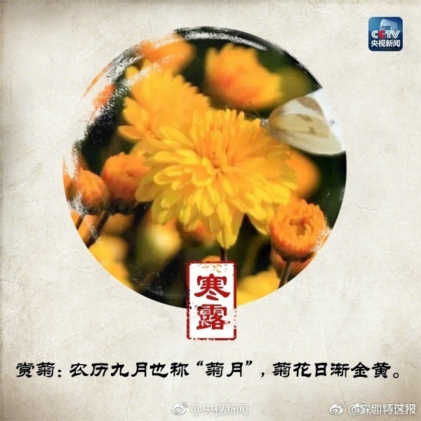 偷拍女生尿尿视频网站App