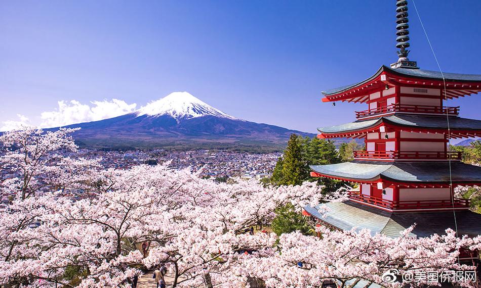 交配