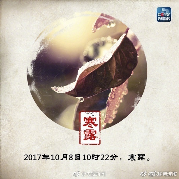 美人裸体免费18禁