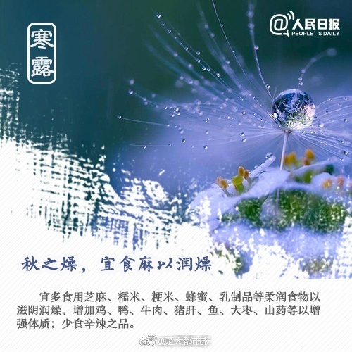 H片网站永久免费