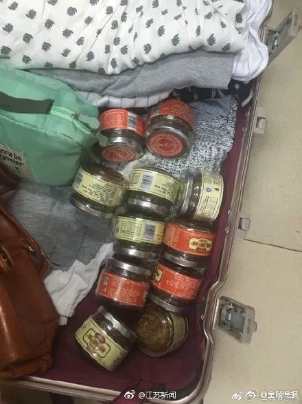 荷兰大白肥屁股BBBBBB