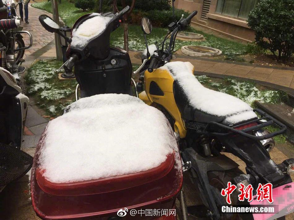 无码福利