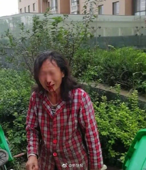 操女人逼Dⅴd视频
