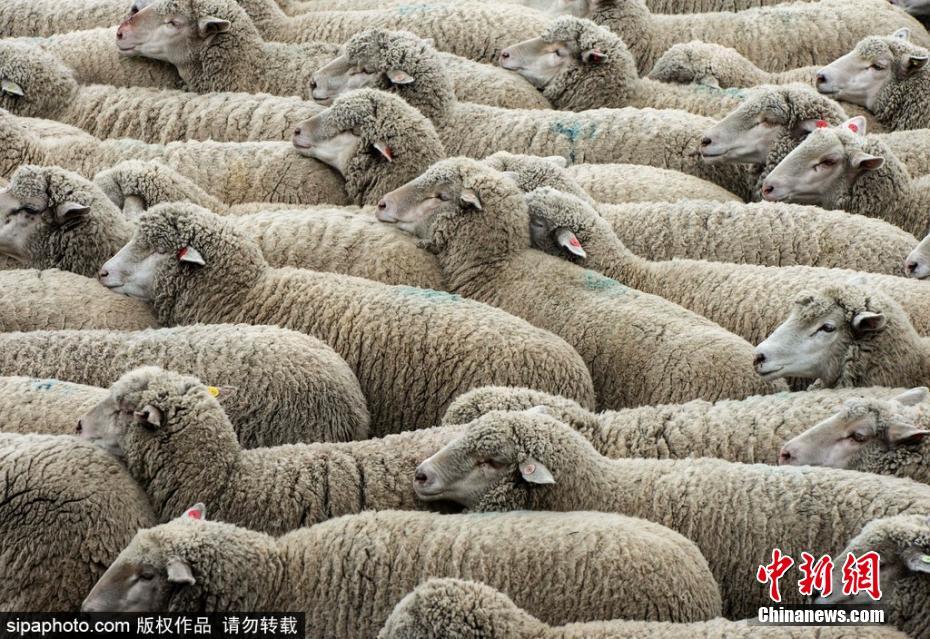 看護師