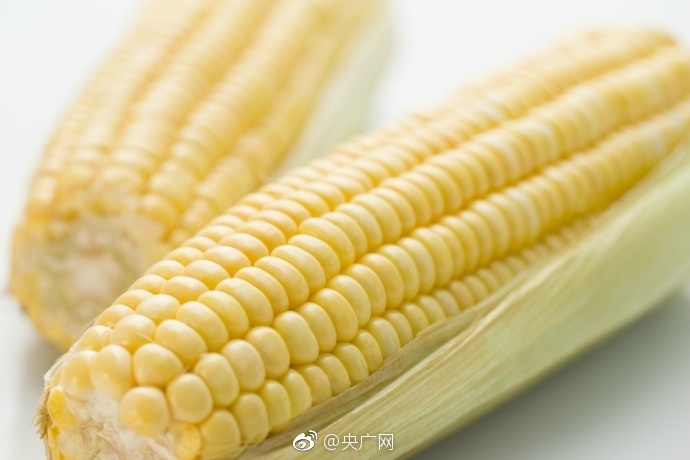 成人91看片