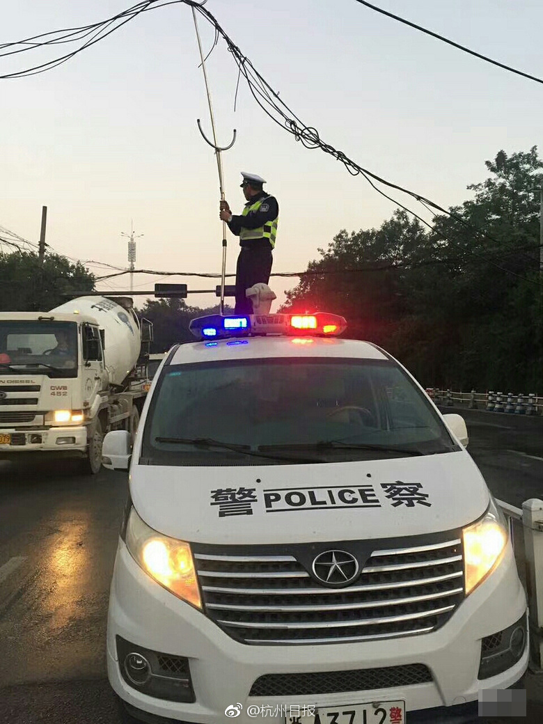 熟女少妇黄色
