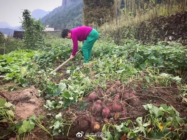调教女仆