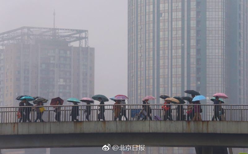 黄色三极片短片