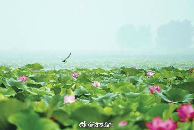 91 国产 爽 黄 在线