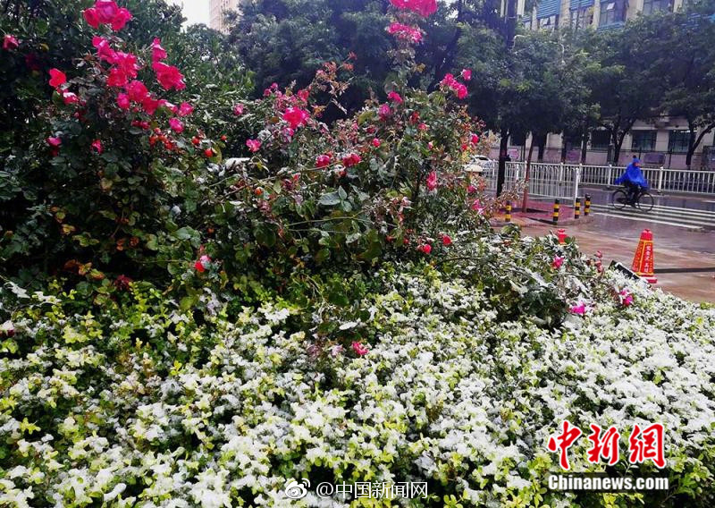 四虎影视成人精品一区
