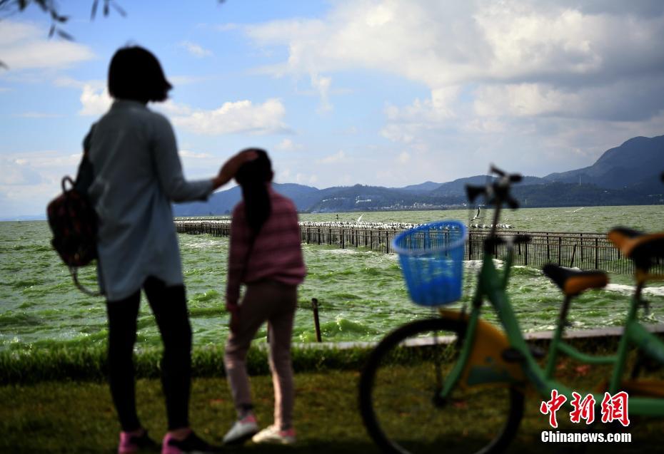 短裙公车被强好爽H吃奶视频