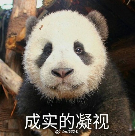 久久直播