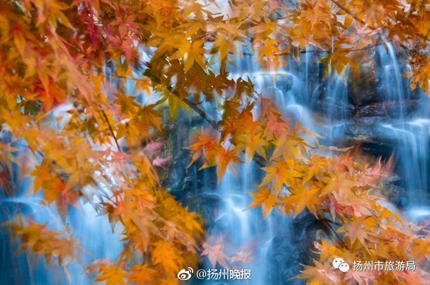 三级片Xxxx18免费看片