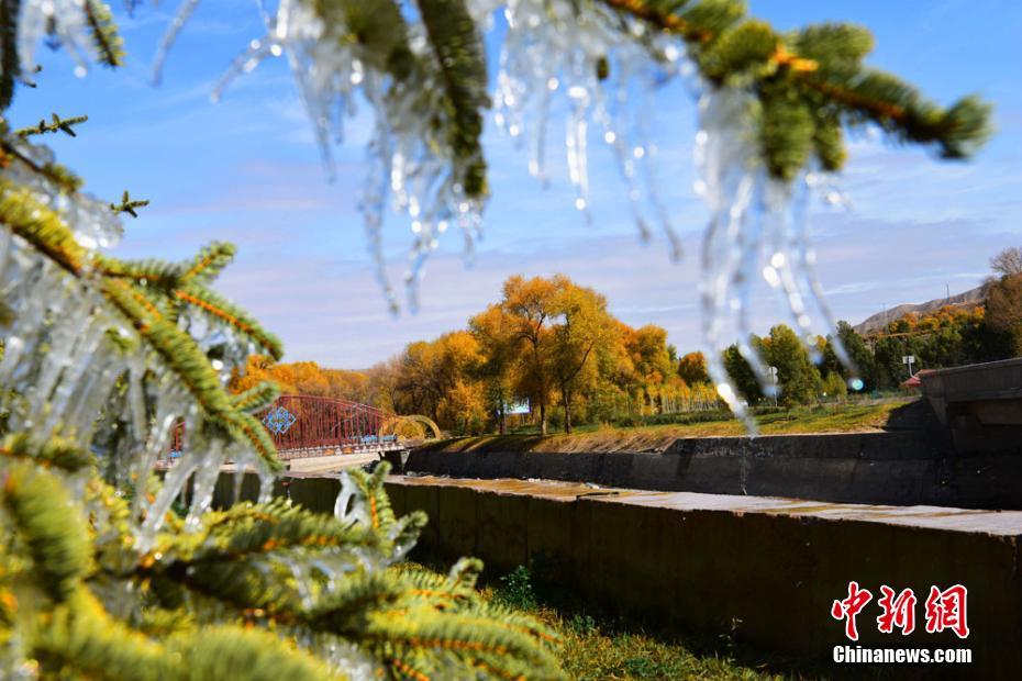 91在线无码精品秘 国产软件