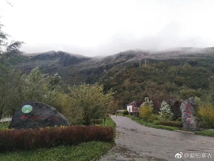 南波杏