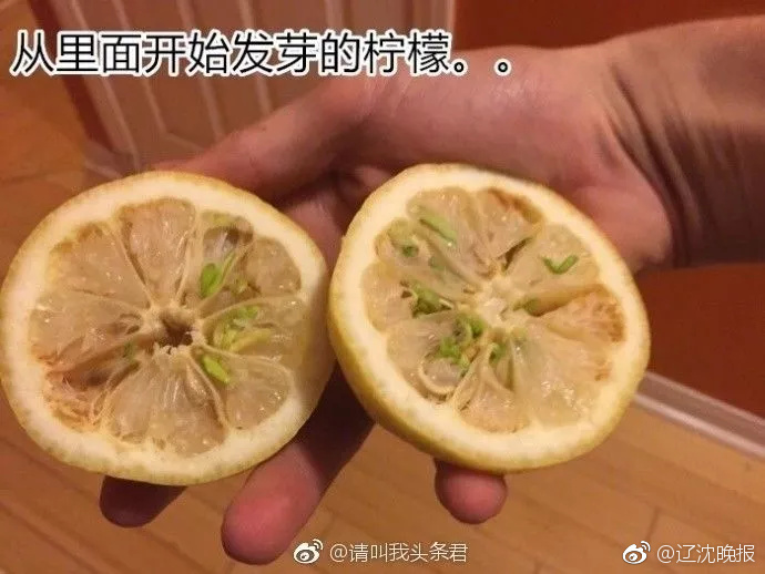台中女大生