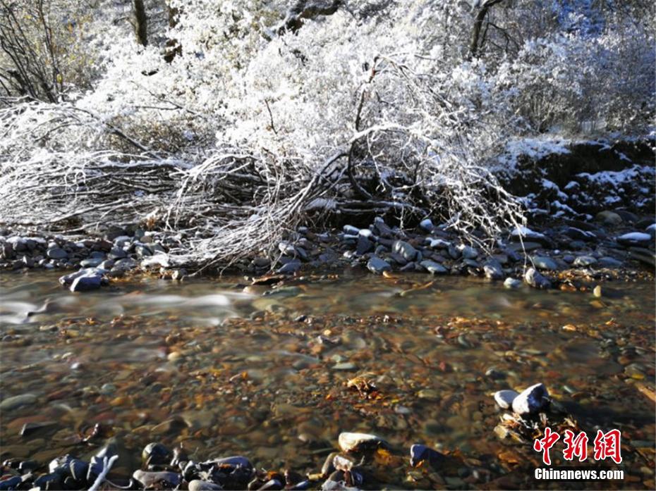 性粗暴挣扎Hd