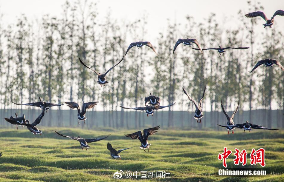 林静公交车伦流澡到高潮