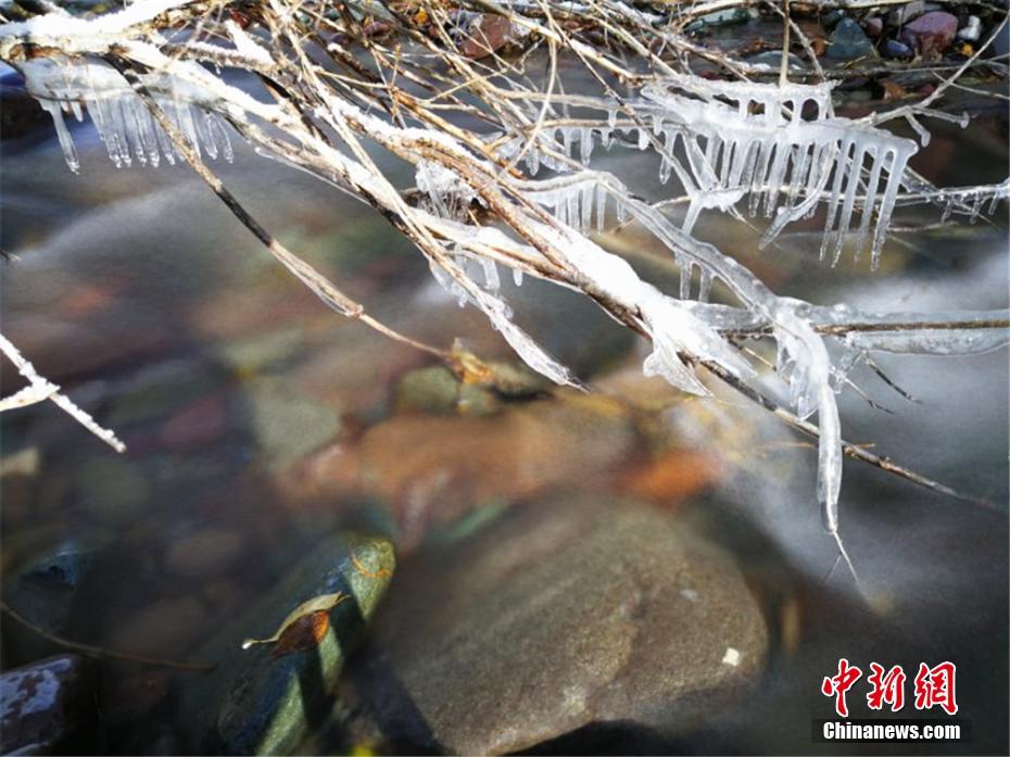 抖音风反差婊弹力摇 混剪