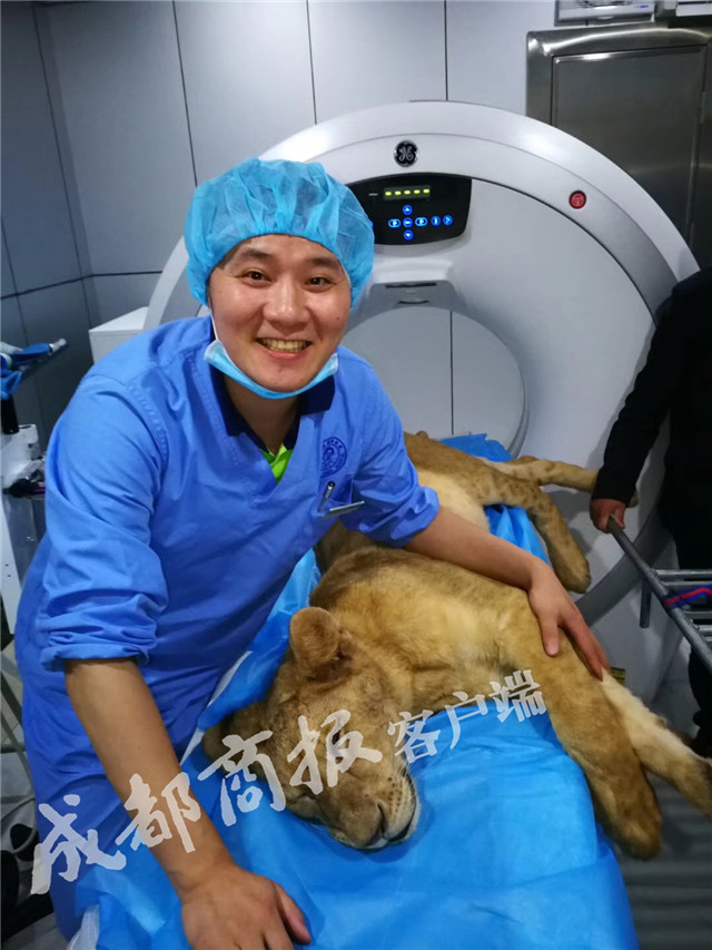 秋霞影院午夜伦A片不卡伦