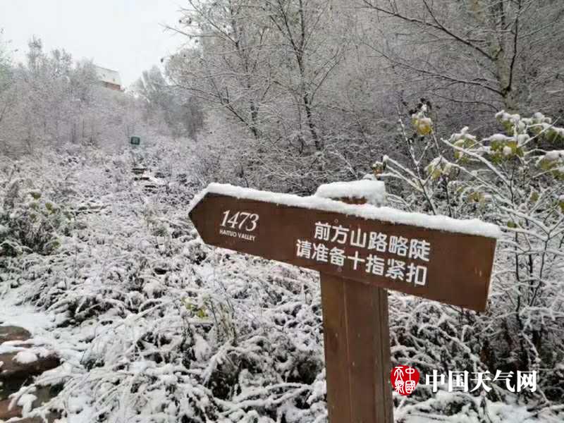 前列線按摩