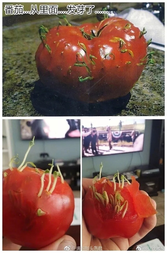 偷拍媽媽