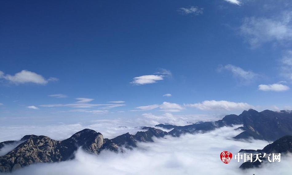 张柏芝浓密黑毛无挡一区二区
