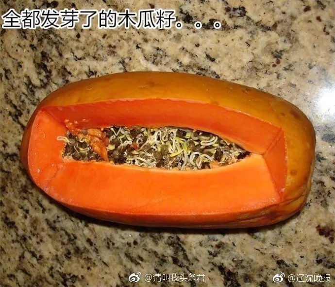 性爱偷拍网址