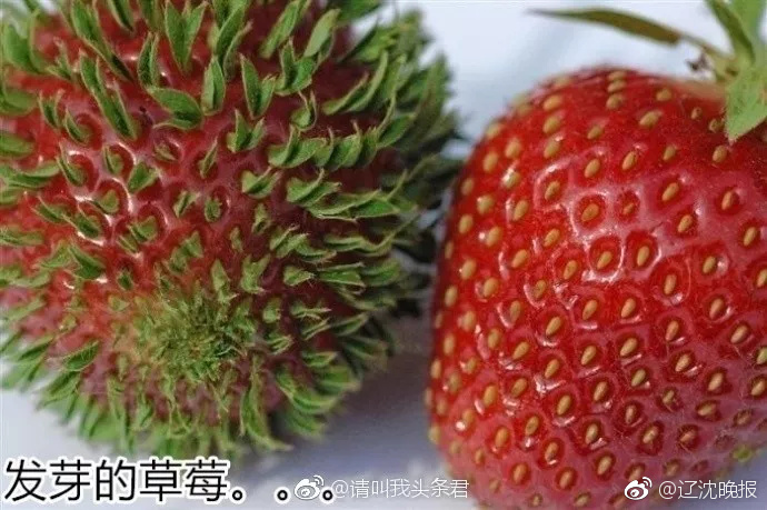 亚洲天堂2020
