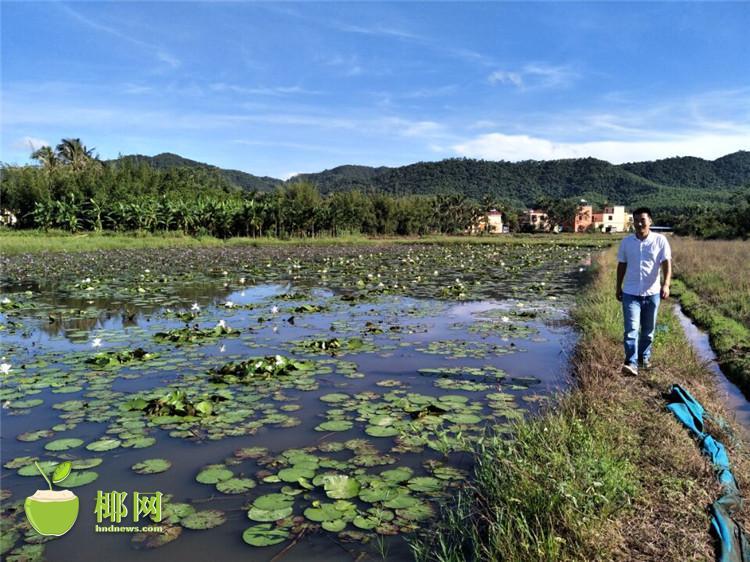 元元直播洗澡