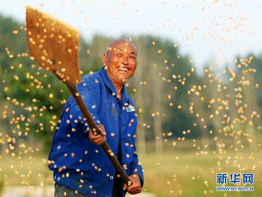 亚洲视频一区二区