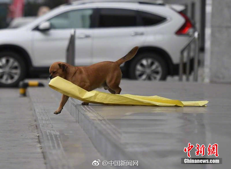 内射美女人妻