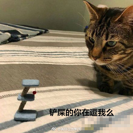 黄色网站夫妻生活片尻庇视频