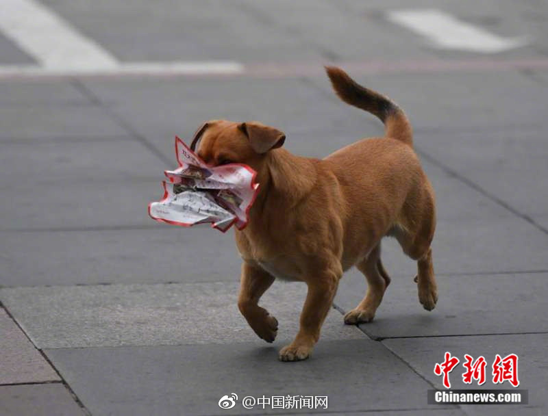 无码台湾裸体写真绝版Dvd