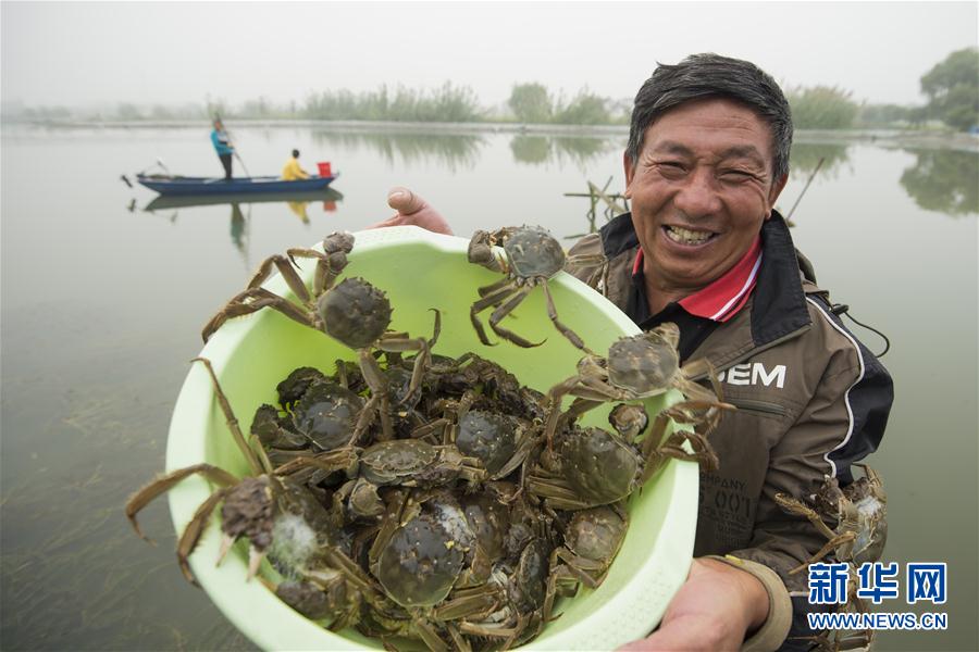 精品国产三级
