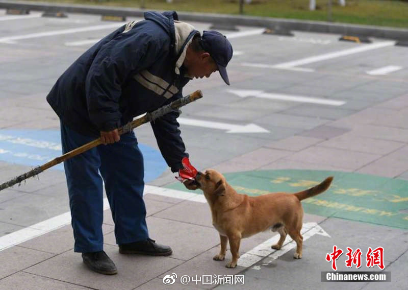 盜臉駭客