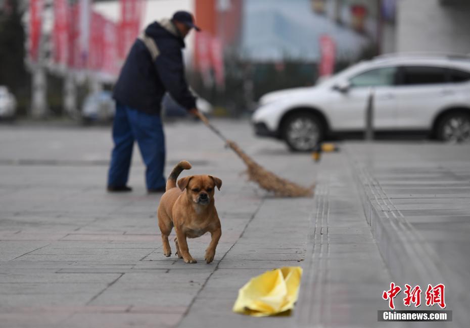 欧美做受