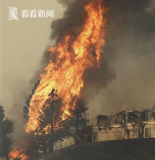 日本最大黄色网站