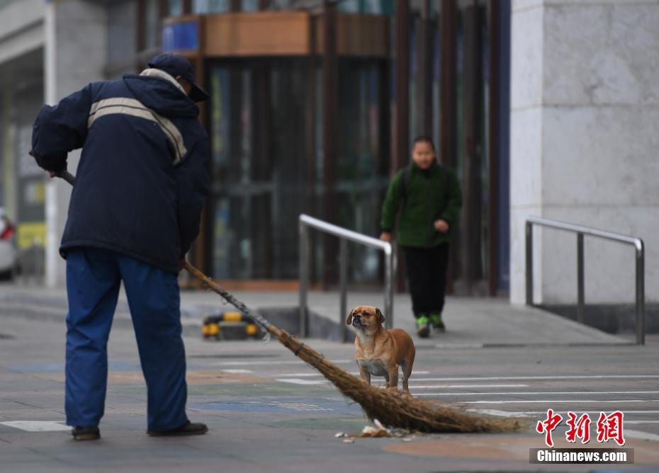 胸大我被六个男人玩一晚上
