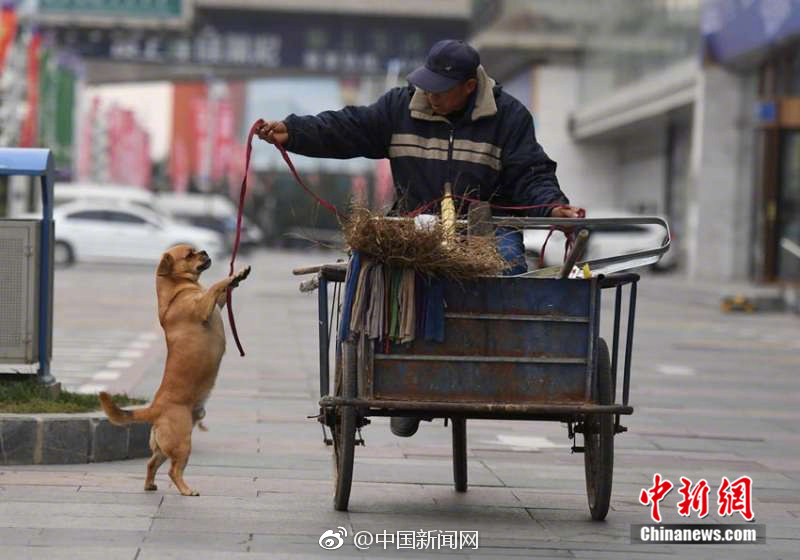 成人 视频 空姐